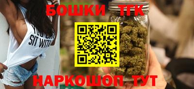 тгк Новозыбков