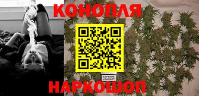 тгк Новозыбков