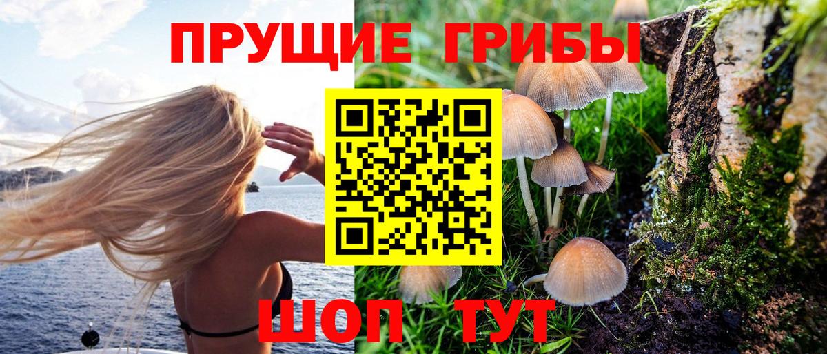 Усть-Джегута  Псилоцибиновые грибы мухоморы  Вход с VPN 